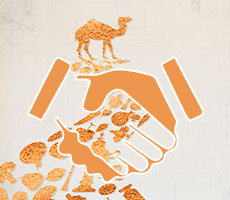 �z·�����(xi��ng)Ŀ��(zhu��n)�}